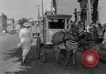 Image of Zebra driven carriage Saint Louis Missouri USA, 1931, second 55 stock footage video 65675048705