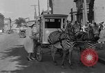 Image of Zebra driven carriage Saint Louis Missouri USA, 1931, second 56 stock footage video 65675048705