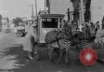 Image of Zebra driven carriage Saint Louis Missouri USA, 1931, second 57 stock footage video 65675048705