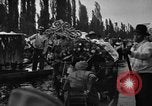 Standbild dekoriert Kanus Xochimilco Mexiko, 1931, aus Sekunde 43 historischem Filmmaterial Videoclip 65675048709