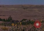 Immagine di Girasoli United States USA, 1975, secondo 6 filmato di repertorio 65675048718