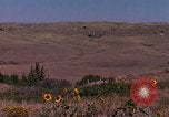 Immagine di Girasoli United States USA, 1975, secondo 7 filmato di repertorio 65675048718