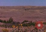 Immagine di Girasoli United States USA, 1975, secondo 8 filmato di repertorio 65675048718
