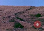 Immagine di Girasoli United States USA, 1975, secondo 9 filmato di repertorio 65675048718