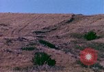 Immagine di Girasoli United States USA, 1975, secondo 10 filmato di repertorio 65675048718