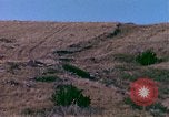 Immagine di Girasoli United States USA, 1975, secondo 11 filmato di repertorio 65675048718