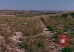Immagine di Girasoli United States USA, 1975, secondo 12 filmato di repertorio 65675048718
