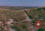Immagine di Girasoli United States USA, 1975, secondo 14 filmato di repertorio 65675048718