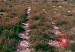 Immagine di Girasoli United States USA, 1975, secondo 18 filmato di repertorio 65675048718