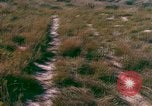 Immagine di Girasoli United States USA, 1975, secondo 19 filmato di repertorio 65675048718