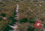 Immagine di Girasoli United States USA, 1975, secondo 20 filmato di repertorio 65675048718