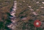 Immagine di Girasoli United States USA, 1975, secondo 22 filmato di repertorio 65675048718