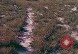 Immagine di Girasoli United States USA, 1975, secondo 23 filmato di repertorio 65675048718