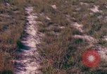 Immagine di Girasoli United States USA, 1975, secondo 24 filmato di repertorio 65675048718