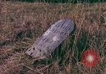 Immagine di Girasoli United States USA, 1975, secondo 25 filmato di repertorio 65675048718