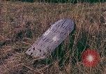 Immagine di Girasoli United States USA, 1975, secondo 26 filmato di repertorio 65675048718