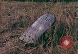 Immagine di Girasoli United States USA, 1975, secondo 27 filmato di repertorio 65675048718