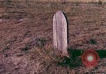 Immagine di Girasoli United States USA, 1975, secondo 31 filmato di repertorio 65675048718