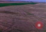 Immagine di Girasoli United States USA, 1975, secondo 39 filmato di repertorio 65675048718