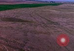 Immagine di Girasoli United States USA, 1975, secondo 40 filmato di repertorio 65675048718