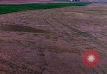 Immagine di Girasoli United States USA, 1975, secondo 41 filmato di repertorio 65675048718