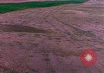 Immagine di Girasoli United States USA, 1975, secondo 42 filmato di repertorio 65675048718
