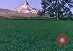 Immagine di Girasoli United States USA, 1975, secondo 46 filmato di repertorio 65675048718