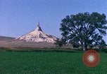 Immagine di Girasoli United States USA, 1975, secondo 48 filmato di repertorio 65675048718