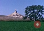 Immagine di Girasoli United States USA, 1975, secondo 49 filmato di repertorio 65675048718