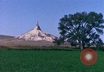 Immagine di Girasoli United States USA, 1975, secondo 50 filmato di repertorio 65675048718
