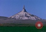 Immagine di Girasoli United States USA, 1975, secondo 51 filmato di repertorio 65675048718
