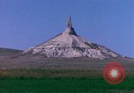Immagine di Girasoli United States USA, 1975, secondo 55 filmato di repertorio 65675048718
