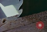 Immagine di Sutter's Mill dimostrazione di replica mulino sega California United States USA, 1975, secondo 3 filmato di repertorio 65675048720