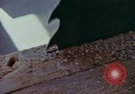 Immagine di Sutter's Mill dimostrazione di replica mulino sega California United States USA, 1975, secondo 5 filmato di repertorio 65675048720