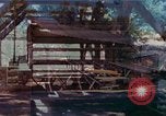 Immagine di Sutter's Mill dimostrazione di replica mulino sega California United States USA, 1975, secondo 21 filmato di repertorio 65675048720
