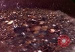 Immagine di Ricerca di pepite d'oro United States USA, 1975, secondo 27 filmato di repertorio 65675048721