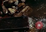 Immagine di Ricerca di pepite d'oro United States USA, 1975, secondo 53 filmato di repertorio 65675048721