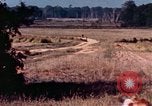 Image of home coming United States USA, 1975, second 11 stock footage video 65675048728