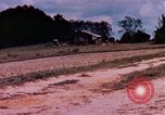 Image of home coming United States USA, 1975, second 41 stock footage video 65675048728