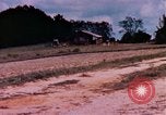 Image of home coming United States USA, 1975, second 42 stock footage video 65675048728
