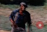 Image of home coming United States USA, 1975, second 59 stock footage video 65675048728