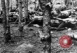 Image Les troupes allemandes rampent sur le sol Belgique, 1917, de la seconde 22 séquences d'archives historiques vidéo 65675048730