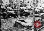 Image Les troupes allemandes rampent sur le sol Belgique, 1917, de la seconde 23 séquences d'archives historiques vidéo 65675048730