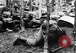 Image Les troupes allemandes rampent sur le sol Belgique, 1917, de la seconde 24 séquences d'archives historiques vidéo 65675048730