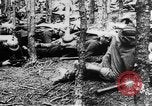 Image Les troupes allemandes rampent sur le sol Belgique, 1917, de la seconde 25 séquences d'archives historiques vidéo 65675048730