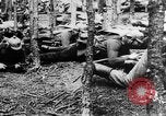 Image Les troupes allemandes rampent sur le sol Belgique, 1917, de la seconde 26 séquences d'archives historiques vidéo 65675048730