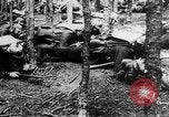 Image Les troupes allemandes rampent sur le sol Belgique, 1917, de la seconde 27 séquences d'archives historiques vidéo 65675048730