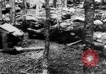 Image Les troupes allemandes rampent sur le sol Belgique, 1917, de la seconde 28 séquences d'archives historiques vidéo 65675048730