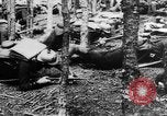 Image Les troupes allemandes rampent sur le sol Belgique, 1917, de la seconde 30 séquences d'archives historiques vidéo 65675048730