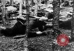 Image Les troupes allemandes rampent sur le sol Belgique, 1917, de la seconde 32 séquences d'archives historiques vidéo 65675048730